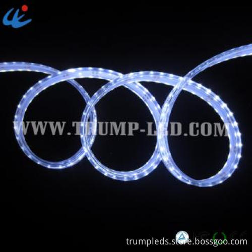 High quality IP68 36W 3014 300 12v waterproof led stripe